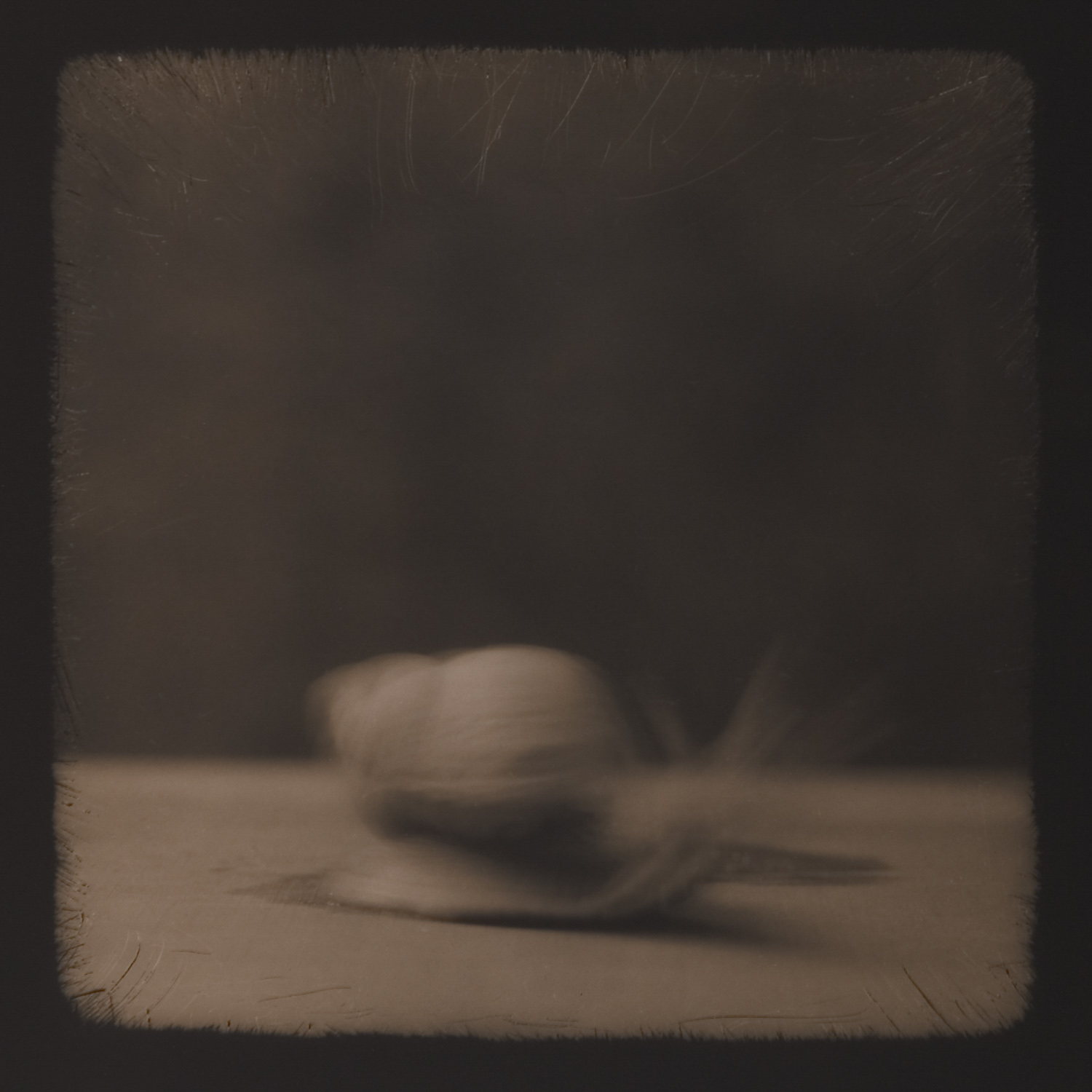 from the series Tales